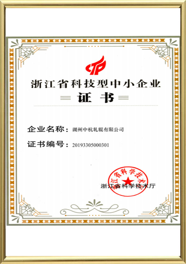 Certifikát pro malé a střední podniky pro vědu a technologii provincie Zhejiang
